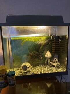 Аквариум