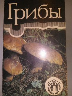 Комплект Открыток Грибы - 12 шт. 1991 г